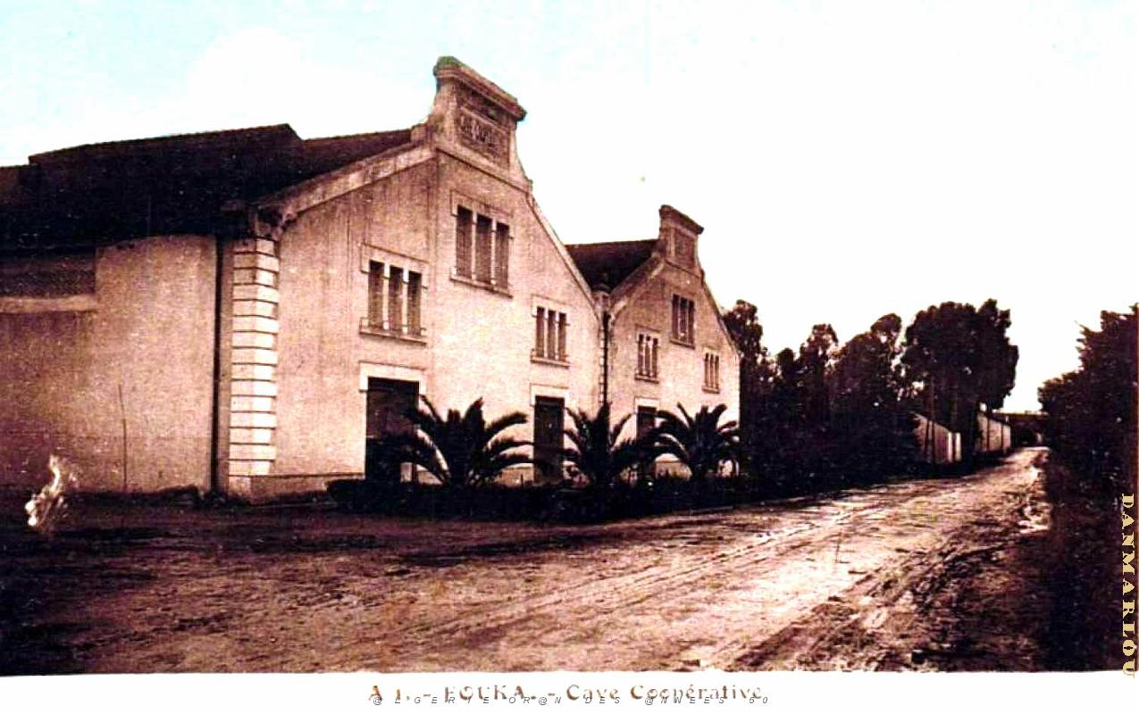 Fouka - Cave Cooperative.jpg